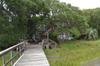 204C NORTH ANDERSON BLVD, Topsail Beach NC 28445