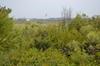 1005 NEW RIVER INLET ROAD, North Topsail Beach NC 28460